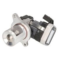 Borgwarner (Wahler) 7527D Agr Ventil Mit Dichtung FüR Mercedes Class C E Gl Glk