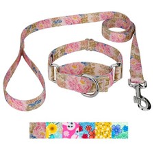 Country Brook Design  Martingale Collar and Leash - Spring Collection