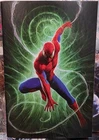 Amazing Spider-Man/Venom Death Spiral #1 1:25 INCVR Virgin Variant