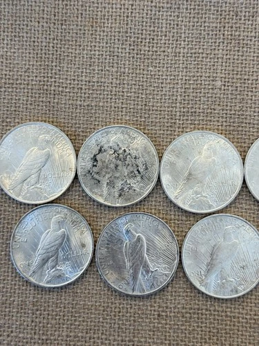 1923 & 1924 Peace Silver Dollar Lot - $1 Circulated US Coins, 0.9 Fine Silver