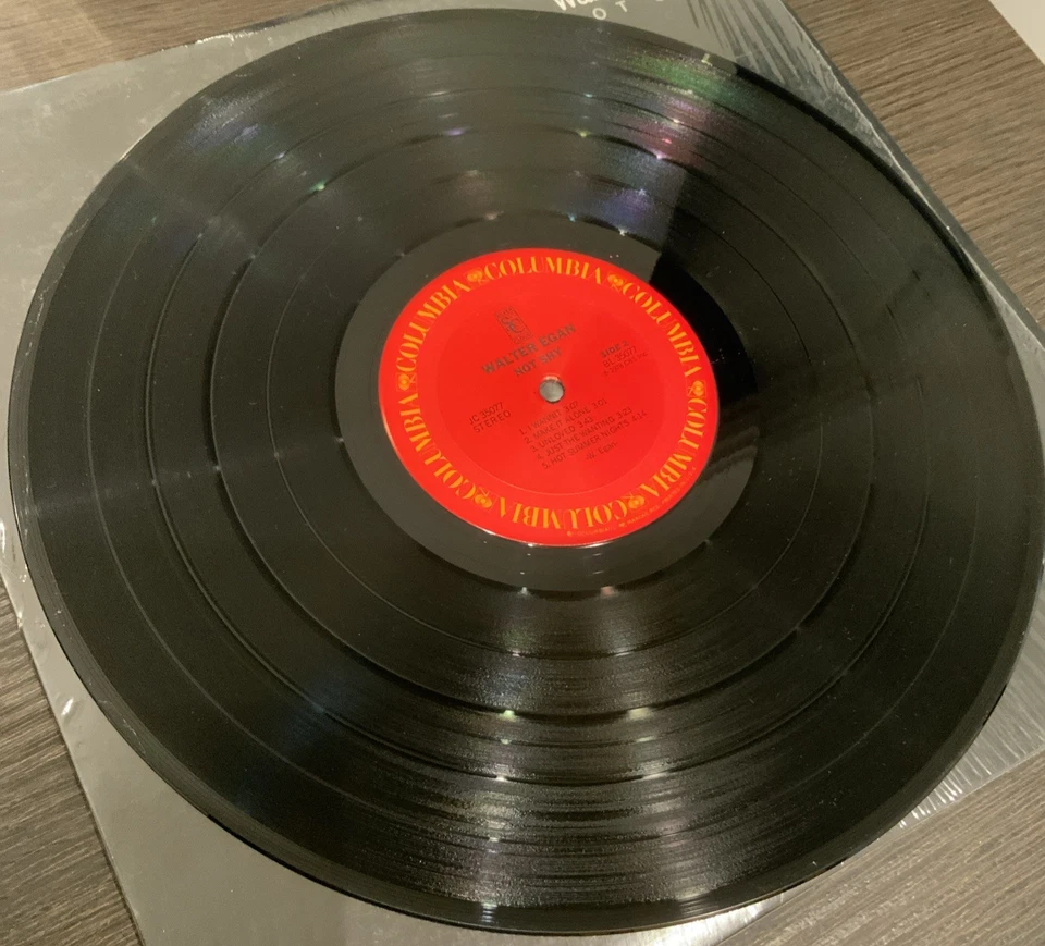 Walter Egan: Not Shy 1978, Pitman Pressing, VG JC 35077 Vinyl LP Foto 4 de 4