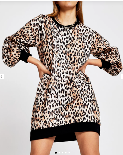 River Island Womens Leopard Print Mini 