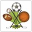 The Sports Cards and More Store
