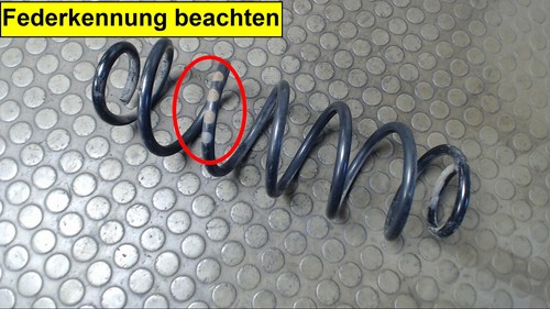 Hinterfeder Links Audi A3 1.9 TDI 8L 12 Monate Garantie Sofortversand