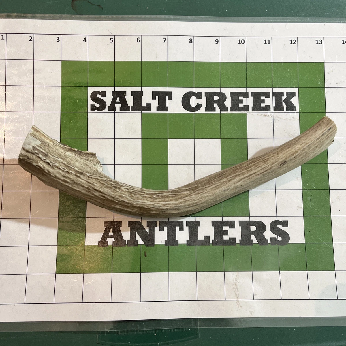 1 Long Deer Antler Dog Chew SALT CREEK ANTLERS Organic