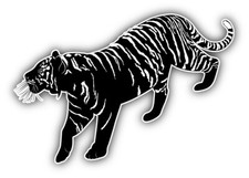 Tiger Car Bumper Sticker Decal