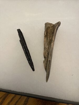 2 Bone awls Florida arrowhead Indian arrowhead