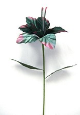 Myrtle Green Wine Red Magnolia 30in Artificial Polysilk Fake Flower Long Stem