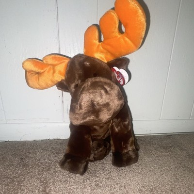 Ty Beanie Buddies Chocolate Moose Plush, Ages 3+, 3-4, 8-11 Years