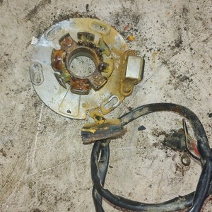 tm racing 80cc stater magneto with ignition pick up Ron