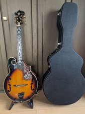 Mandolin F-Type 6-String Pick Guitar Rare