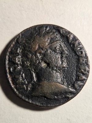 Severus Alexander AE25 Alexandria Troas Horse Grazing Roman Provincial 222-235AD