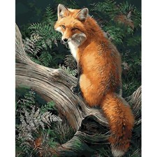 Paint By Numbers Adults Beautiful Fox DIY Painting Kit 40x50CM Canvas