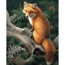 Paint By Numbers Adults Beautiful Fox DIY Painting Kit 40x50CM Canvas