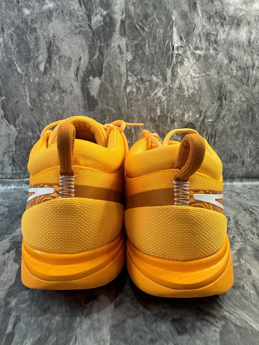 Nike Court Zoom Pro Tennis Shoes  display picture 3