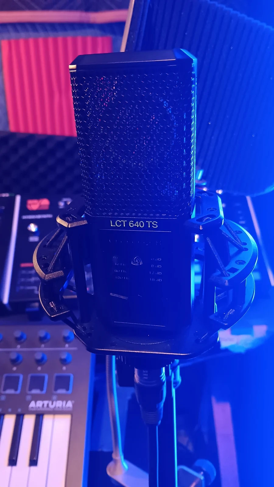 LEWITT LCT 640 TS Multi-Pattern Large-Diaphragm Condenser Microphone