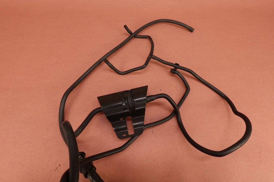 Bote de EVAP Triumph Speedmaster 2014 11-17 emisiones Foto 3 de 4