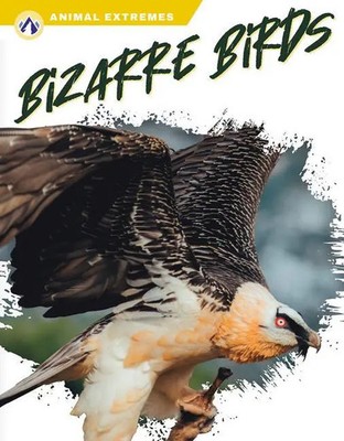Bizarre Birds | Libby Wilson | Englisch | Buch | Gebunden | 2023