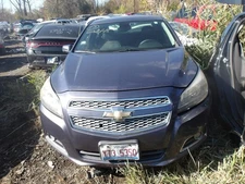 Driver Rear Side Door VIN 1 4th Digit Limited Adhesive Fits 13-16 MALIBU 1482249