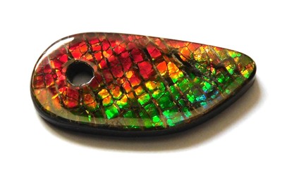 26.65 Ct  Natural Canadian Ammolite Donut Gemstone 35.3X16.2X4.2MM TM32
