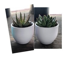 Terracotta Flower Pot, 5,5 Inch, Clay Plantet Pot, 1 Pcs White-1 Pcs Green