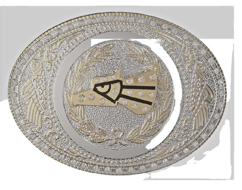 Rhinestone Metal Buckle Plus Size Transparent Belt | eBay display picture 1