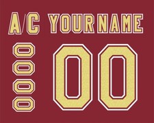NCAA Denver Pioneers Customized Number Kit For 2004-2010 Away Hockey Uniform