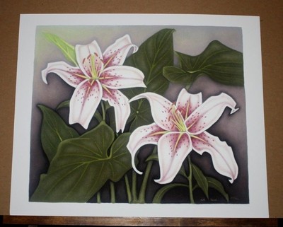 Stargazer Lilies with Calla Lily Leaves Bill Hurd Floral Botanical signed Giclee