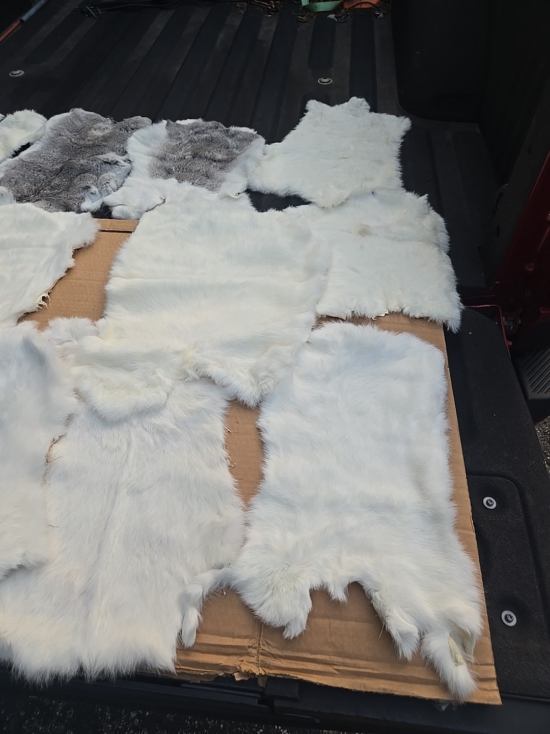 13pcs Real Rabbit Skin Tanned White  Fur Leather Hide Craft Garment Pelt