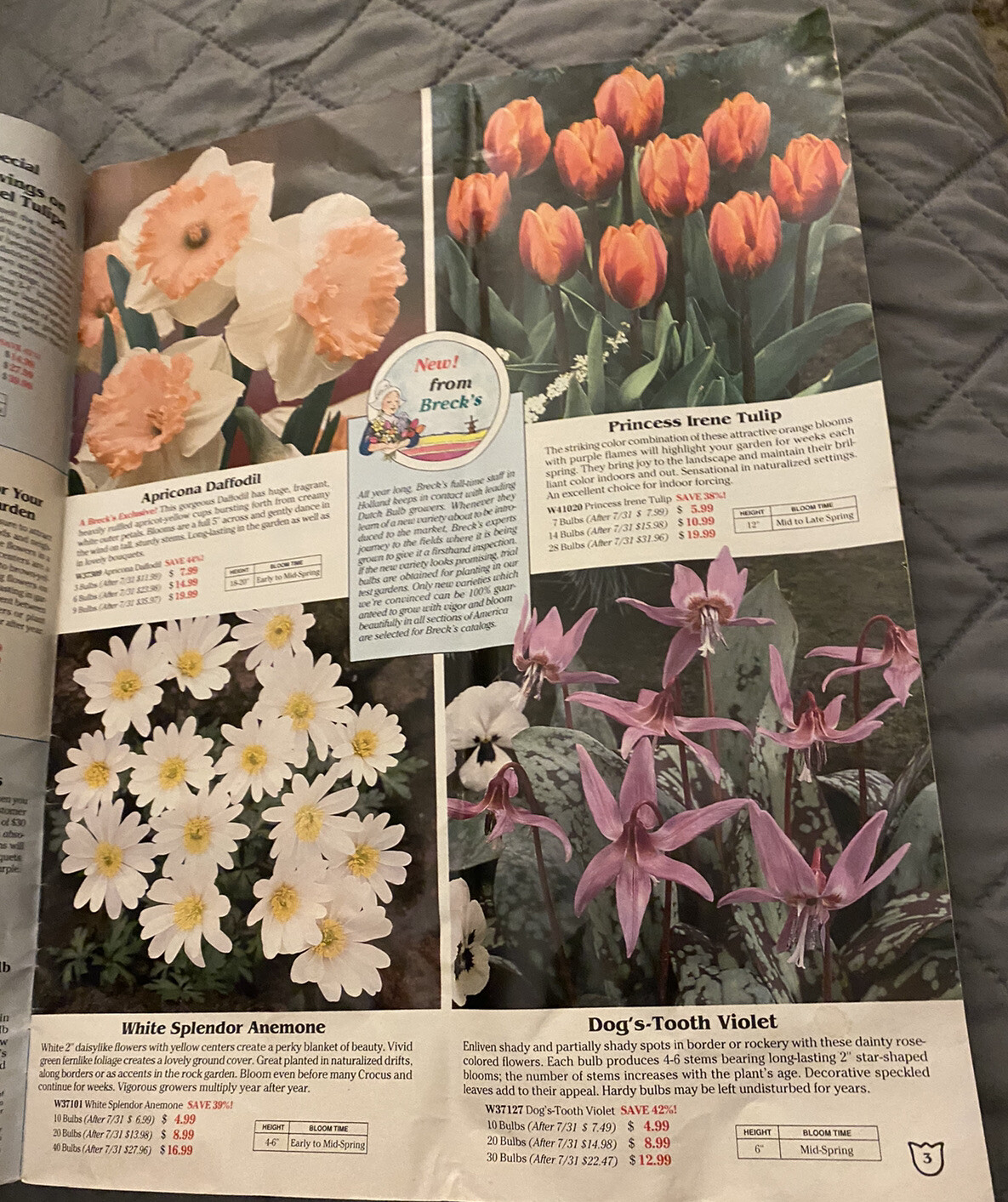 Breck’s Bulbs frim Holland Seed Catalog Plant Flower Garden 1993