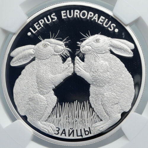 2014 BELARUS Hares Animals RABBITS Pets Proof Silver 20 Rouble Coin NGC i89091 - Picture 1 of 5