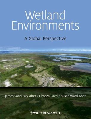 Wetland Environments : A Global Perspective, Paperback by Aber, James Sandusk...