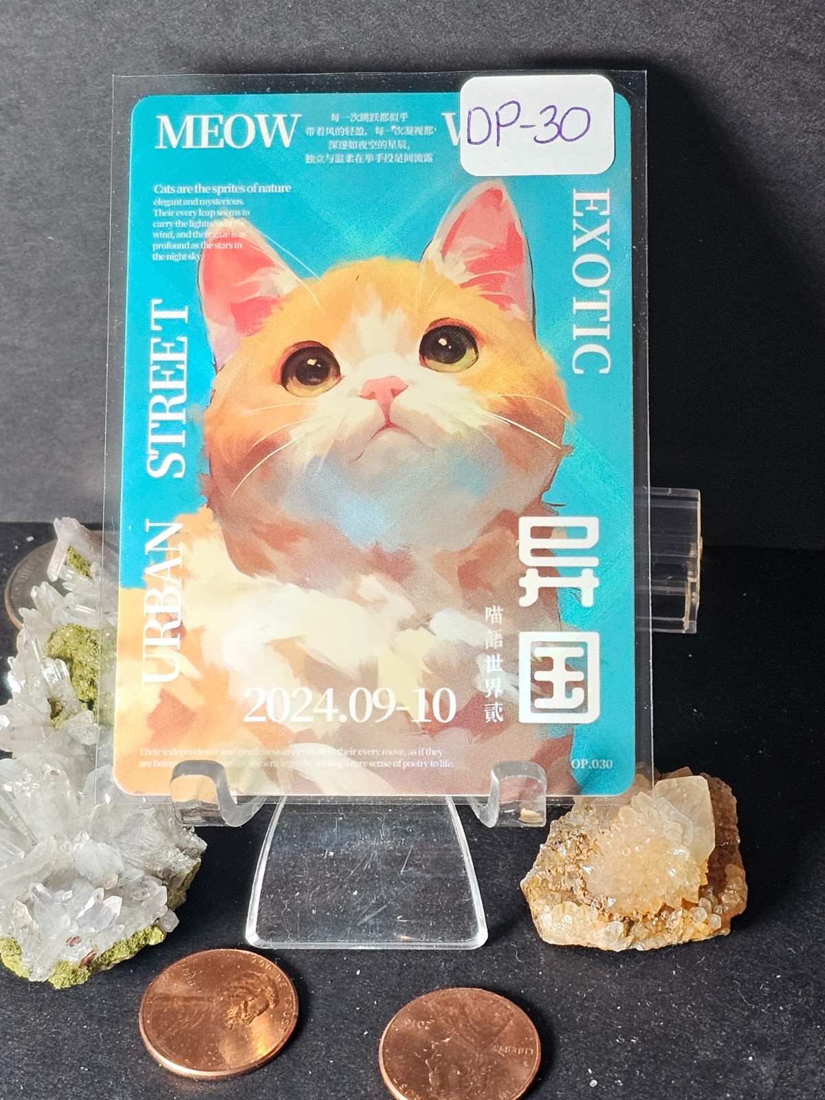 Meow World II Exotic Urban Street OP.030 Rare 2024 Cat Trading Card JOYRIOT4