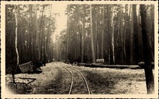 Foto Ak Kemberg in der Dübener Heide, Waldpartie, Eisenbahnbau - 10488711