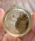 Antique Clear Glass Bottle Wire Applicator Dauber Glue Liquid Shoe Polish  — photo 7