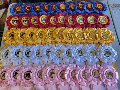 1st~5th Flowing Mane Horse Show Ribbons Awards Equestrian Events ''Peerless''