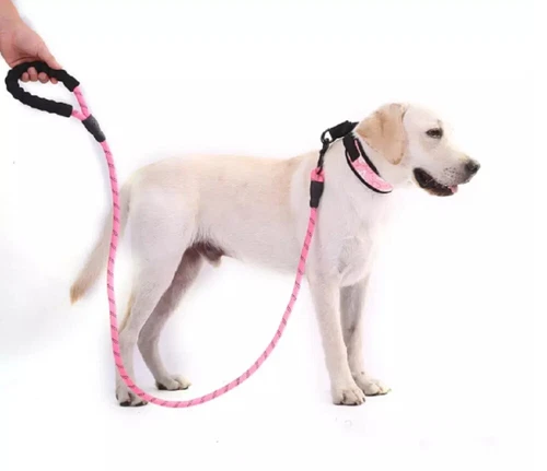 5 FT Dog Rope Leash - Reflective Nylon Lead, Training Padded Handle for Puppies - Picture 81 of 82