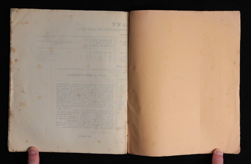 1871 Gaustad Mental Asylum Report Norway Danish - Picture 9 of 9