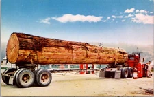 Redwood Log Trucker Big Rig Postcard Fuel Gas Station Truck