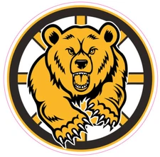 (NOT A PATCH) Boston Bruins Hockey HTV Heat Press Transfer Vinyl Iron On