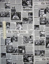 Pet Fabric - Black White Cat Newspaper Funny Puns - Timeless Treasures YARD