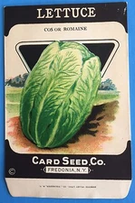 *Original* LETTUCE Cos or Romaine CARD SEED Packet Pack 1930's Fredonia N.Y.