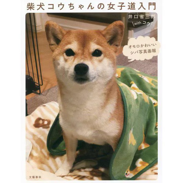 Shiba Inu Ko-chan Women's Introduction Cute Dog Japan Import