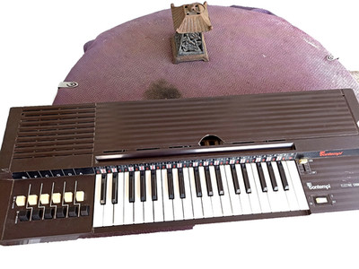 Keyboard von Botempi, Electric Chord Organ