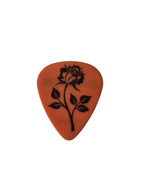 The Cure Robert Smith STAGE USED Guitar Pick Berlin 12.07.2026 Crew COA