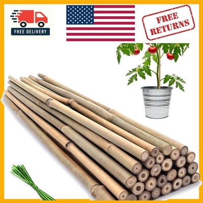 Eco-Friendly 18 Inch Bamboo Plant Supports - 20 Durable Stakes for Gardening