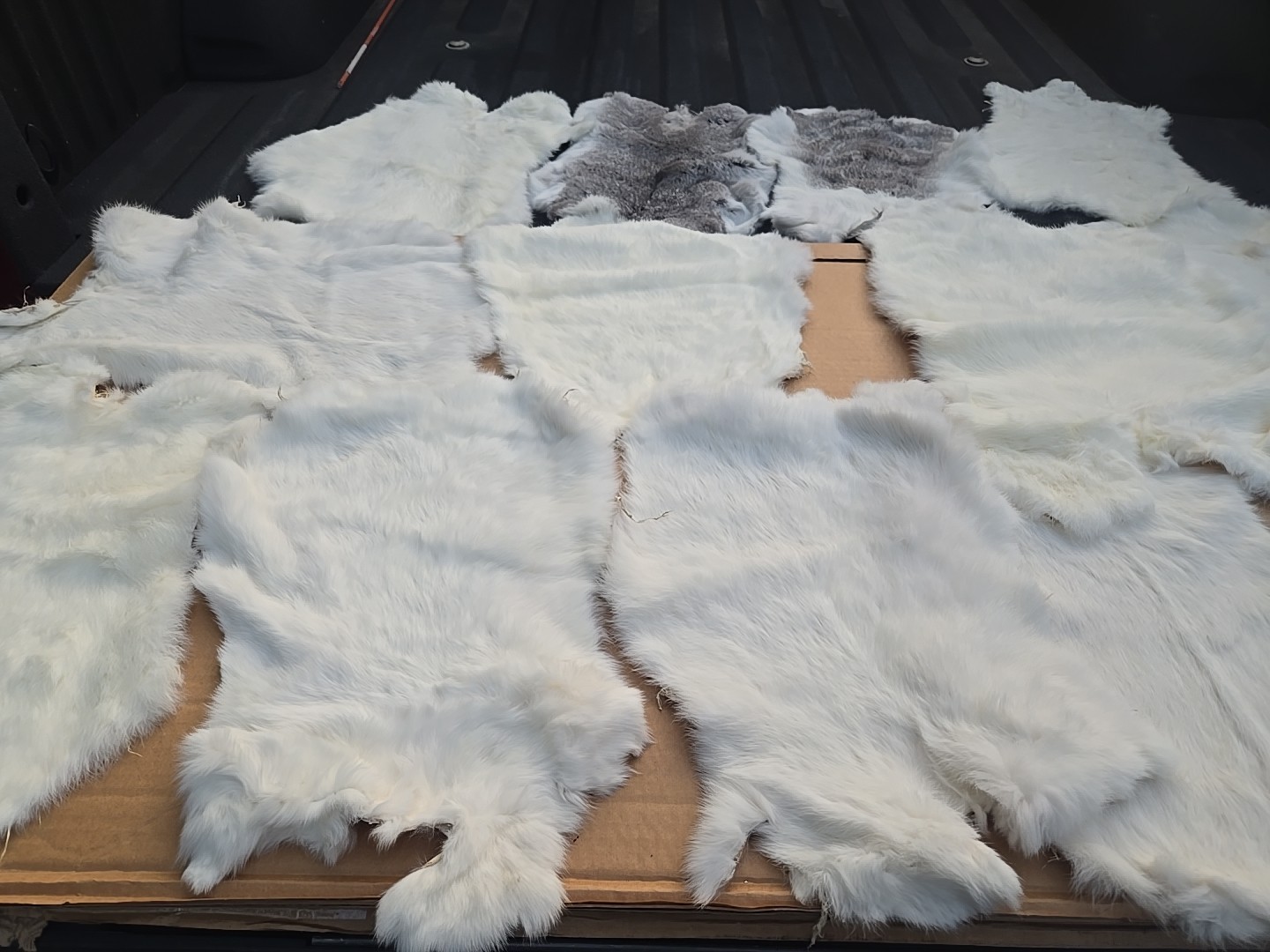 13pcs Real Rabbit Skin Tanned White  Fur Leather Hide Craft Garment Pelt