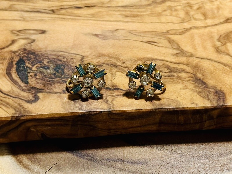 Vintage BN Screwback Earrings
