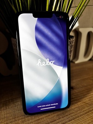 iPhone 13 Pro 256 GB 