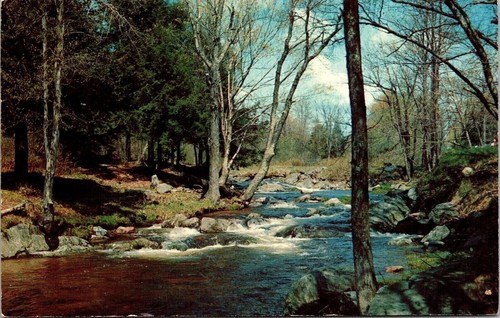 River Stream Postcard PM Springfield Minnesota MN Cancel WOB Note VTG ...